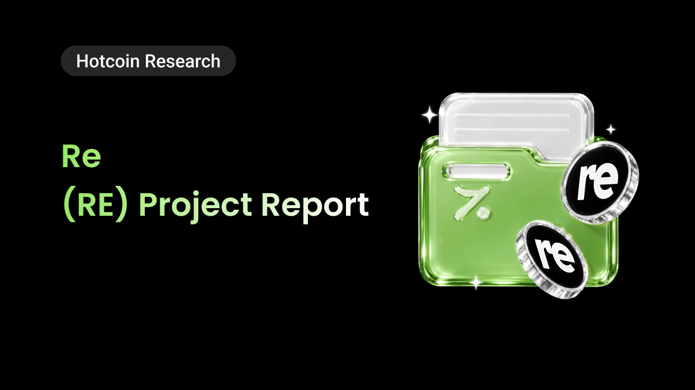 Re (RE) Project Report
