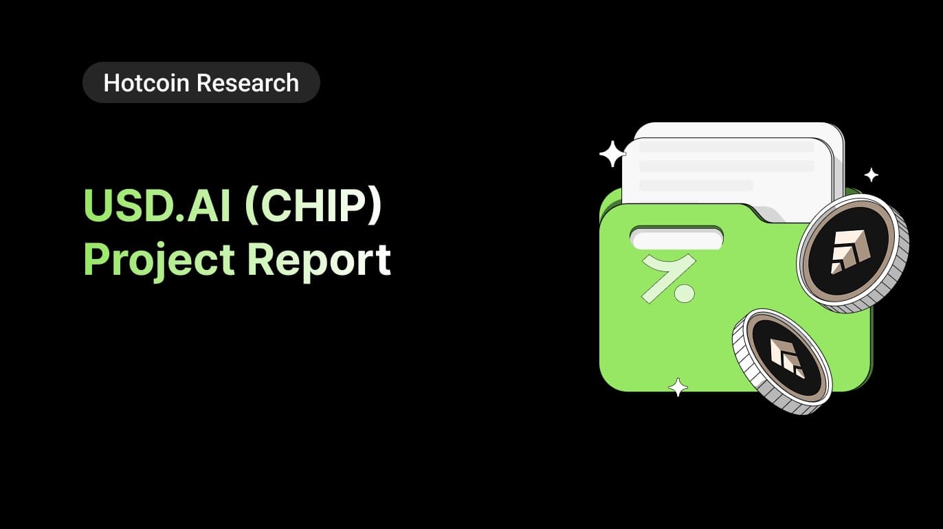 USD.AI (CHIP) Project Report